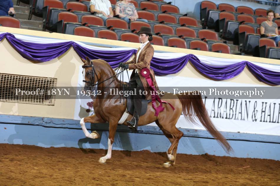 Proof 18YN_19542
