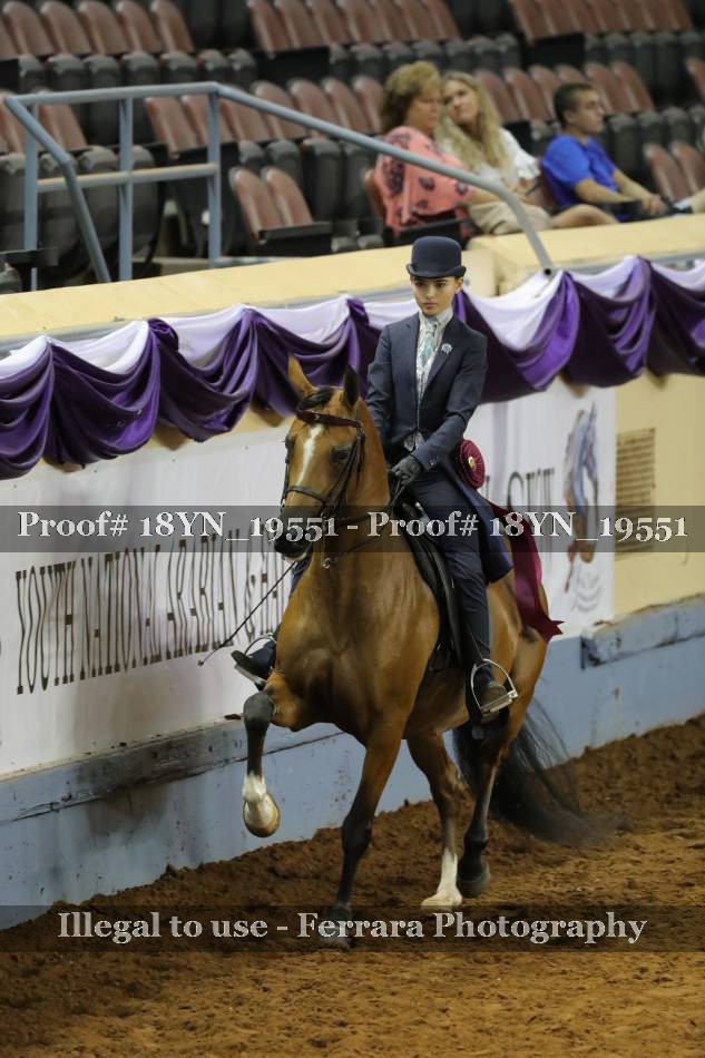 Proof 18YN_19551