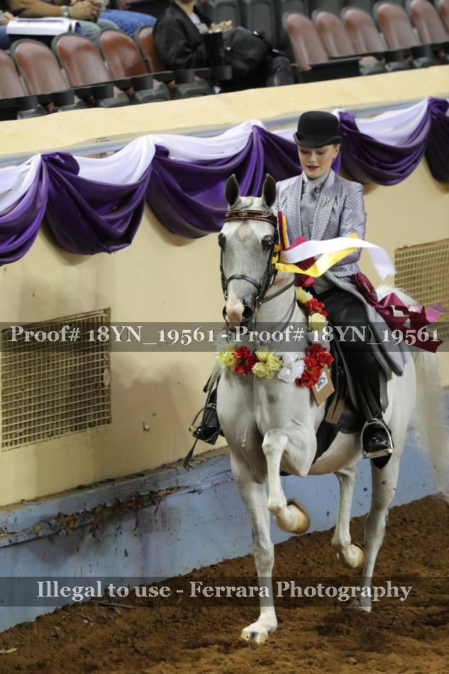 Proof 18YN_19561