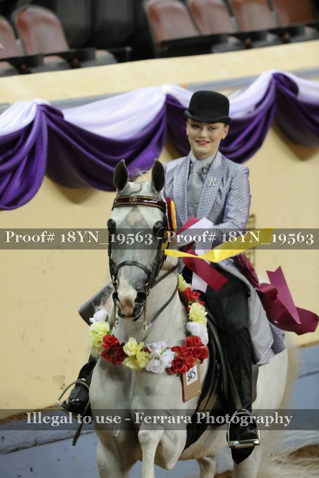 Proof 18YN_19563