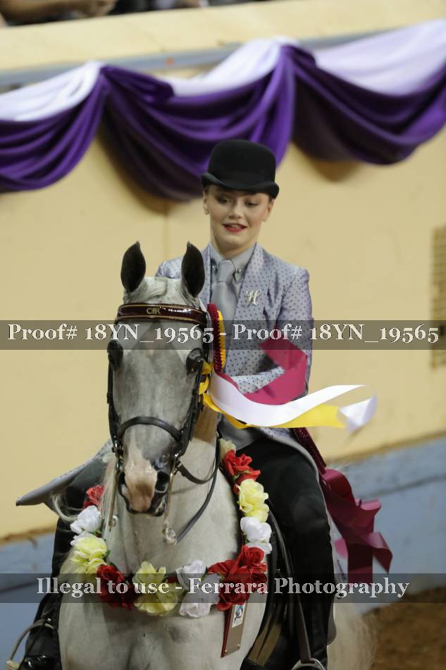 Proof 18YN_19565