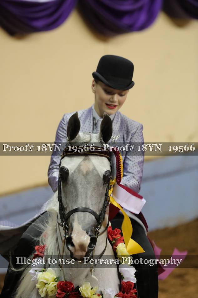 Proof 18YN_19566