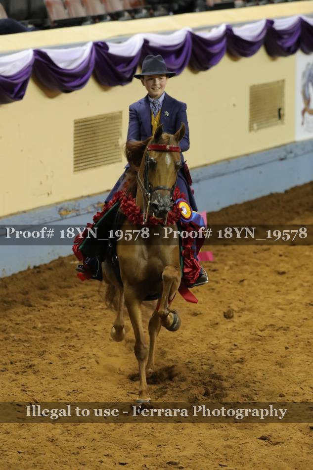 Proof 18YN_19578