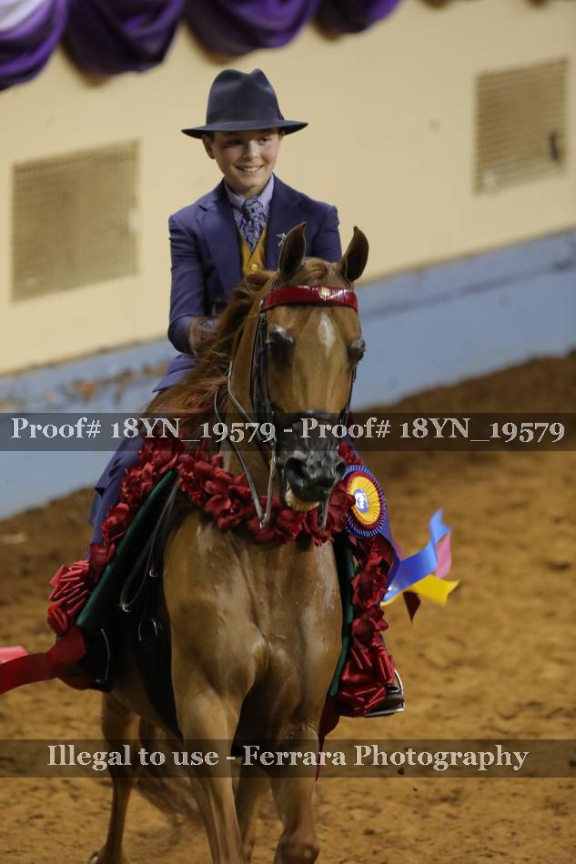 Proof 18YN_19579