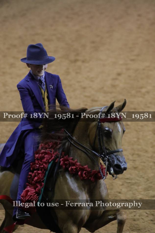 Proof 18YN_19581