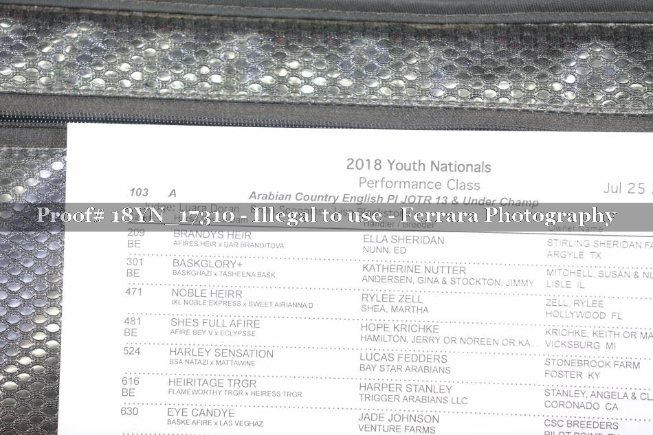 Proof 18YN_17310
