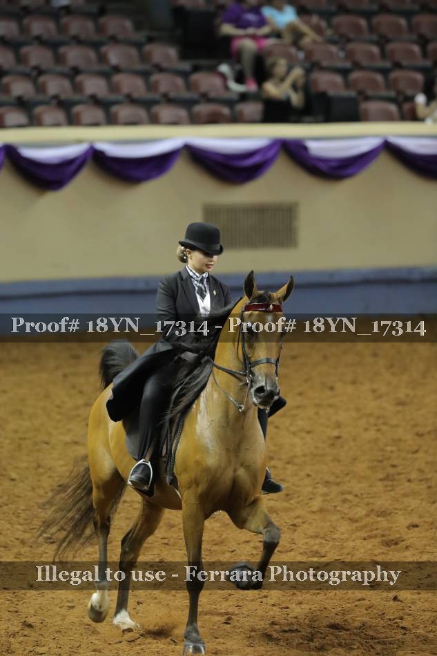 Proof 18YN_17314