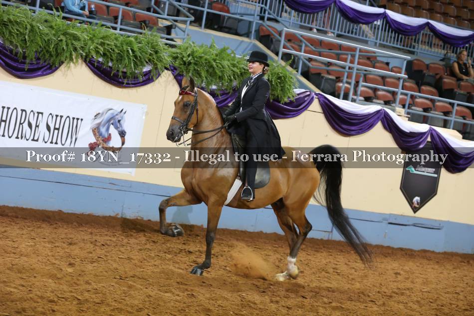 Proof 18YN_17332