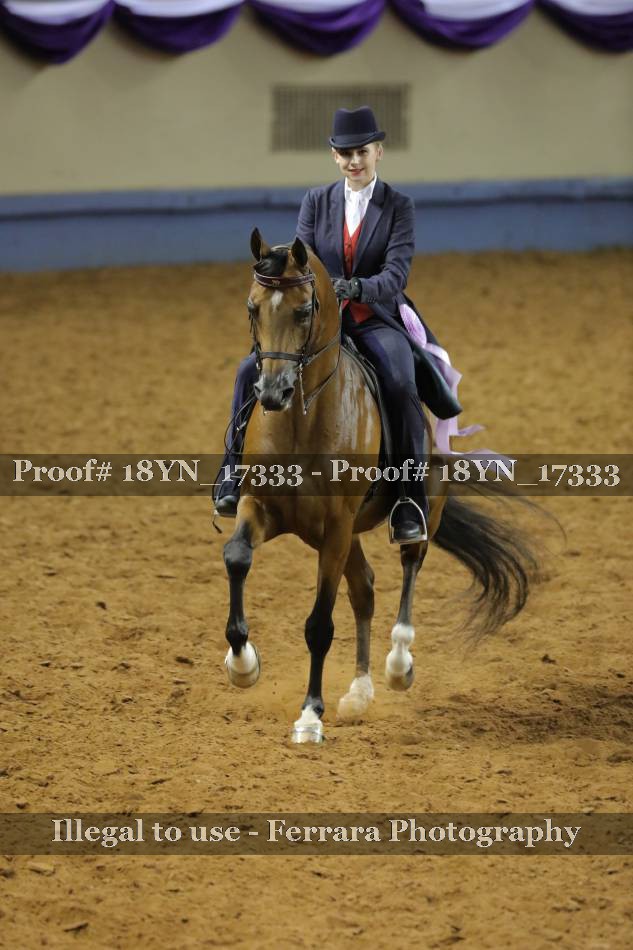 Proof 18YN_17333