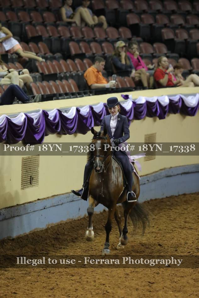 Proof 18YN_17338