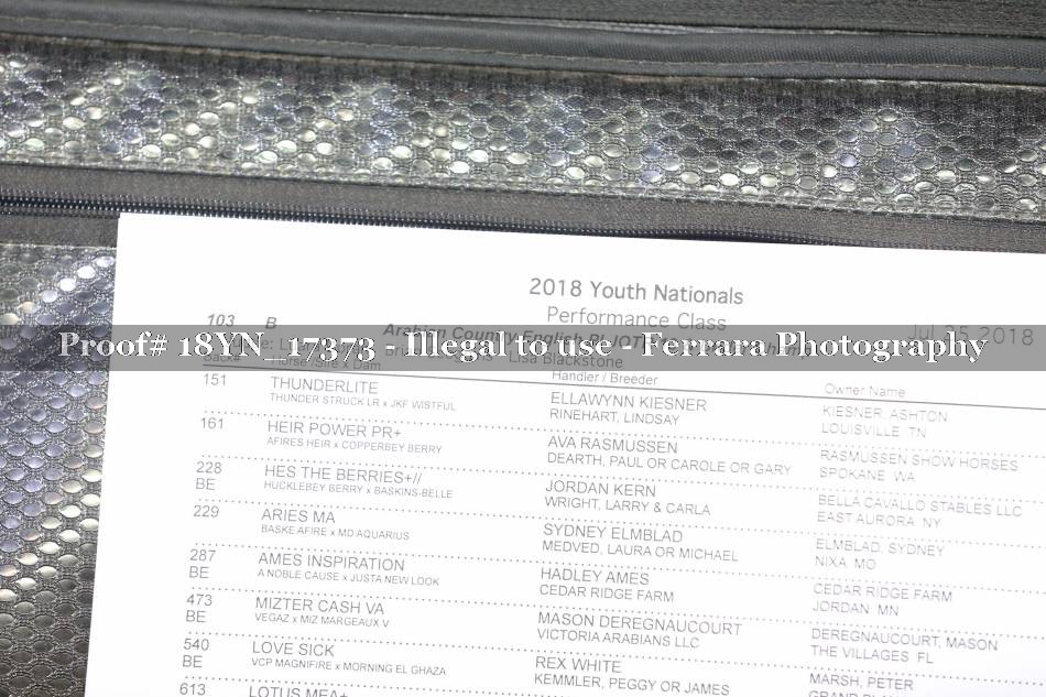 Proof 18YN_17373