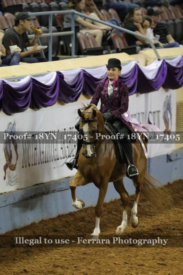 Proof 18YN_17405