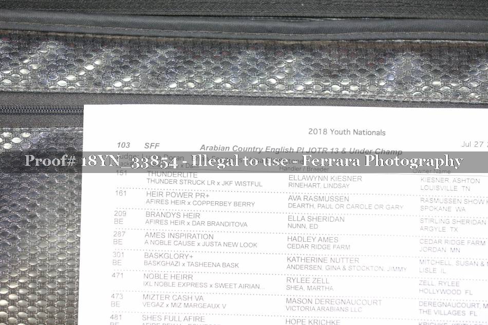 Proof 18YN_33854