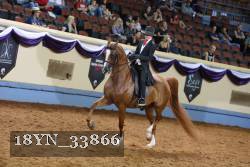 18YN_33866 proof