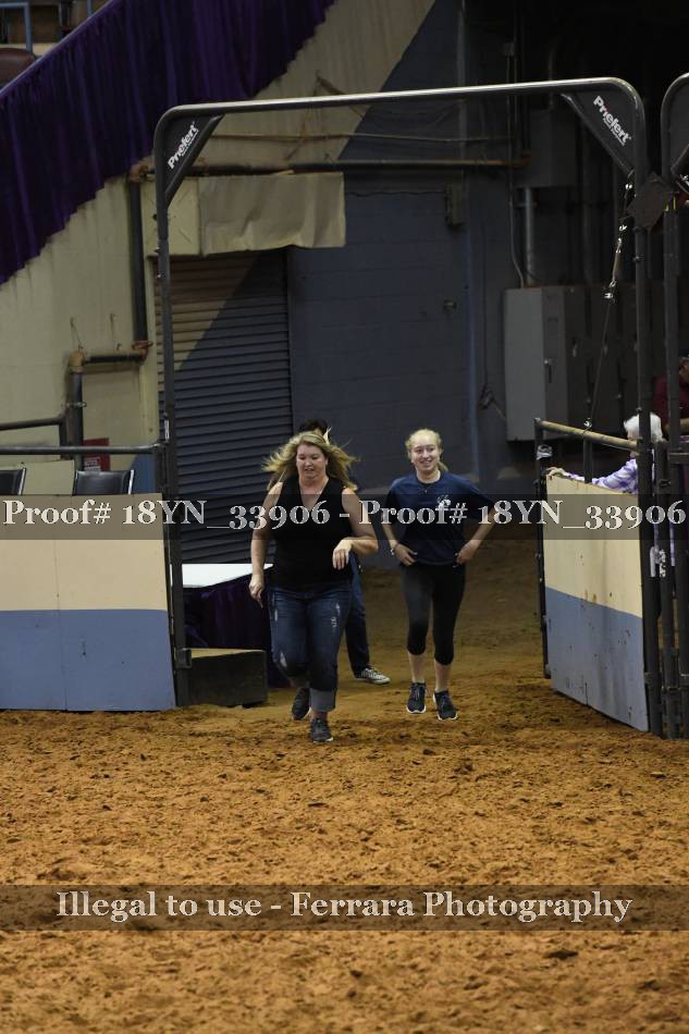 Proof 18YN_33906