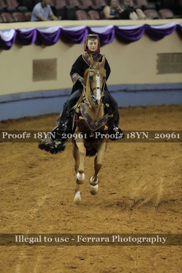 Proof 18YN_20961