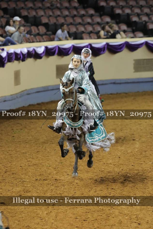 Proof 18YN_20975