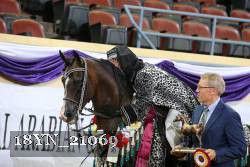 18YN_21069 proof