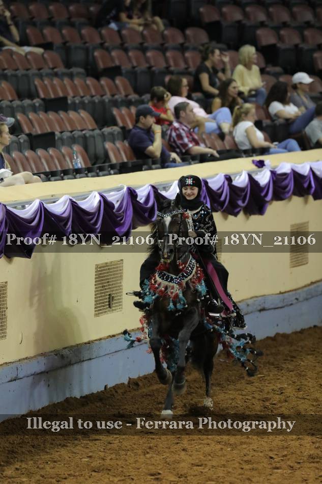 Proof 18YN_21106