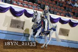 18YN_21133 proof