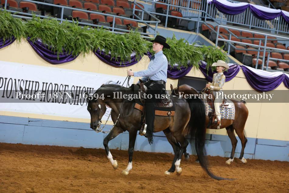 Proof 18YN_16594