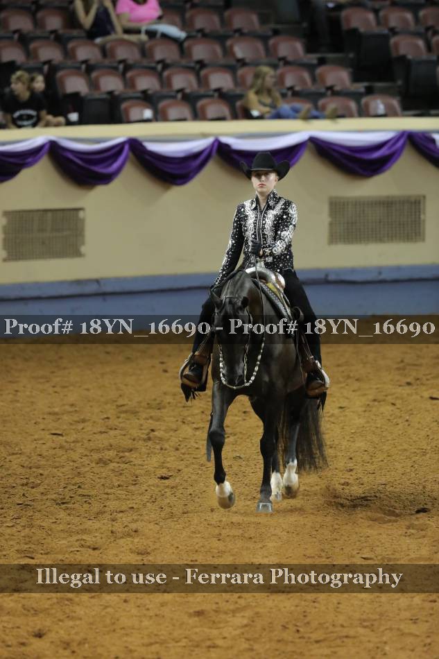 Proof 18YN_16690