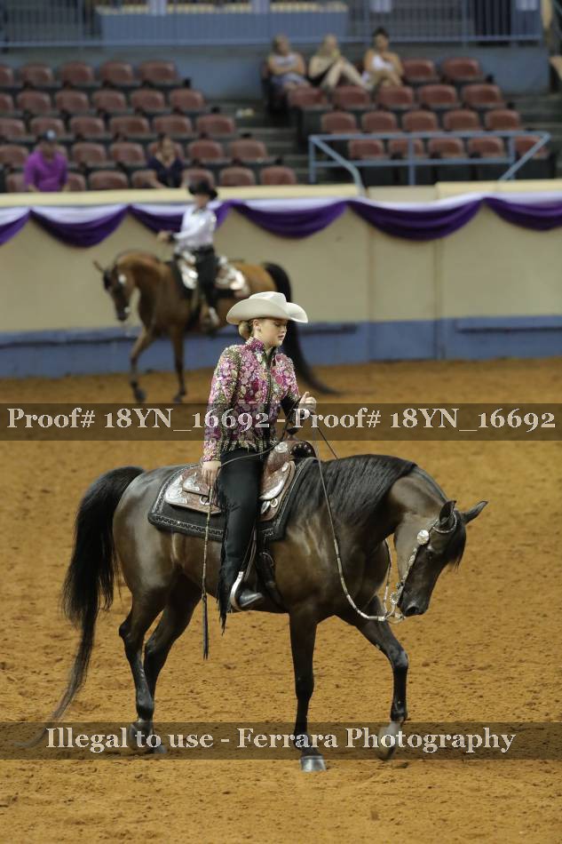 Proof 18YN_16692