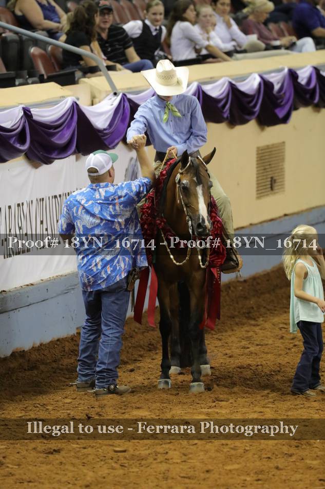 Proof 18YN_16714
