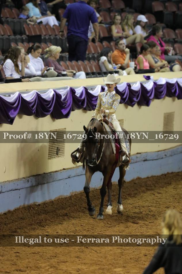 Proof 18YN_16729