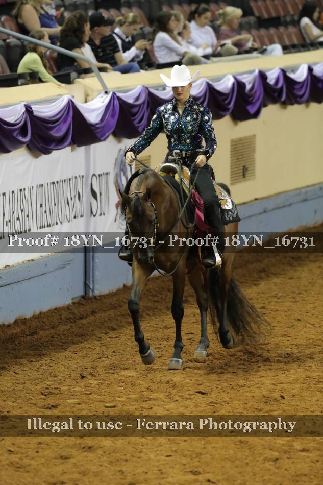 Proof 18YN_16731