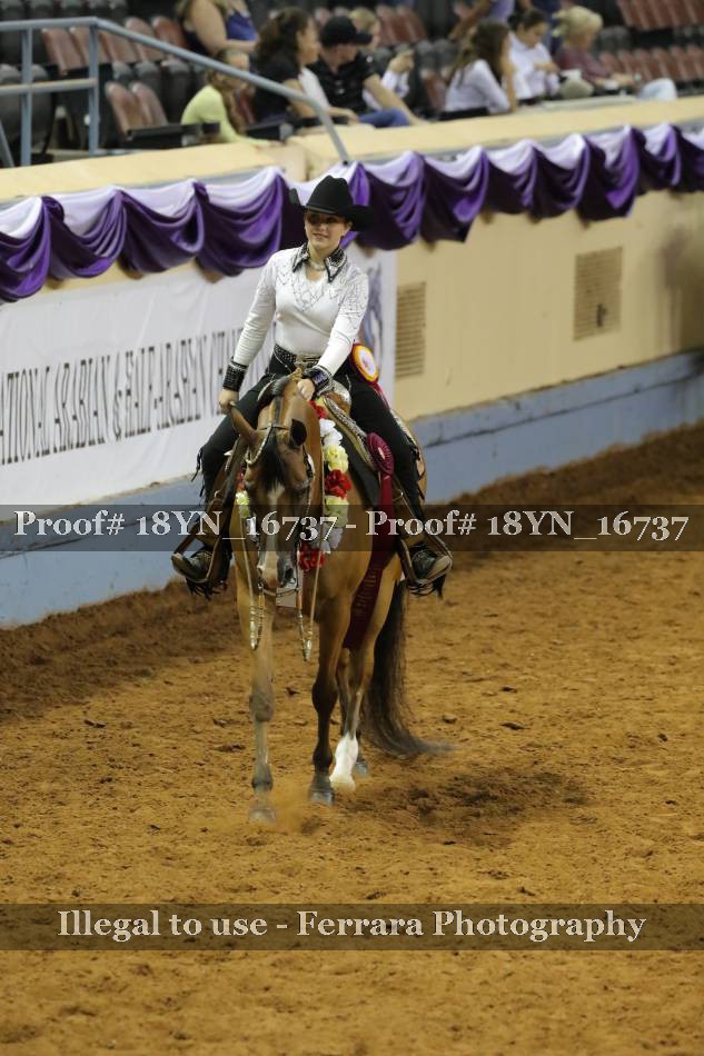 Proof 18YN_16737
