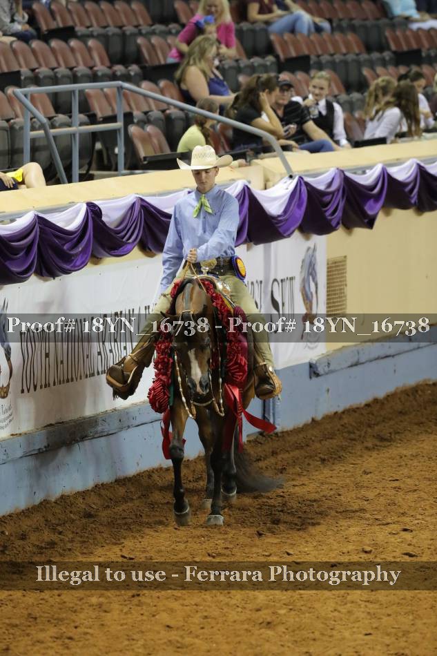 Proof 18YN_16738