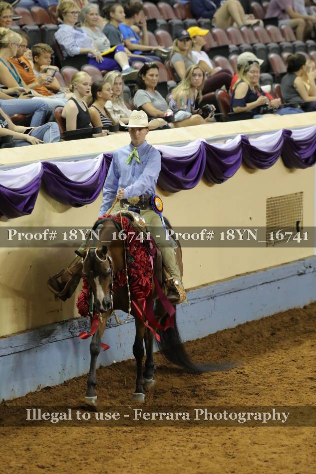 Proof 18YN_16741
