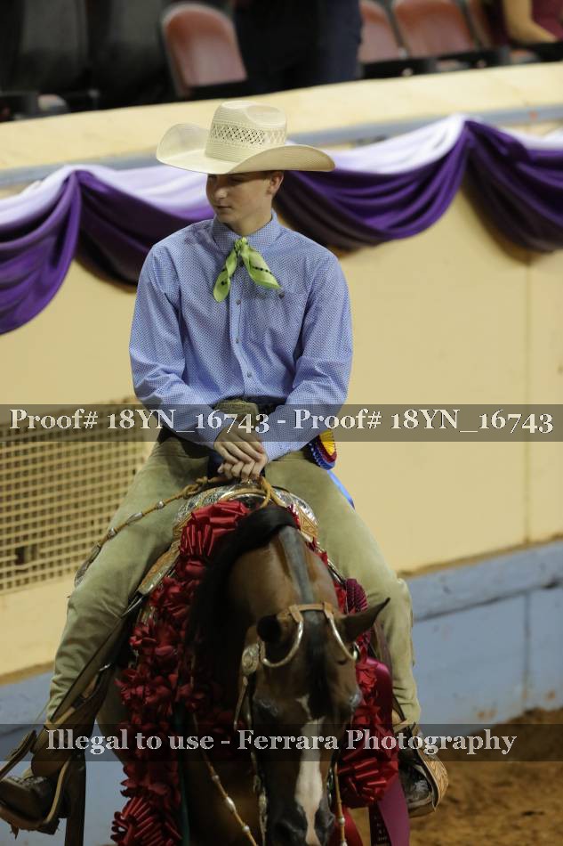 Proof 18YN_16743