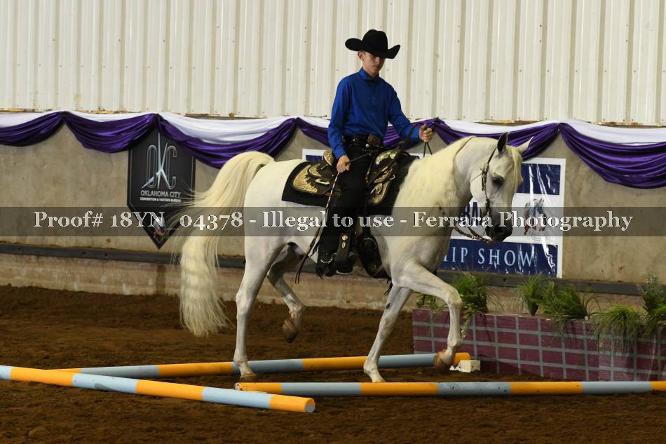 Proof 18YN_04378