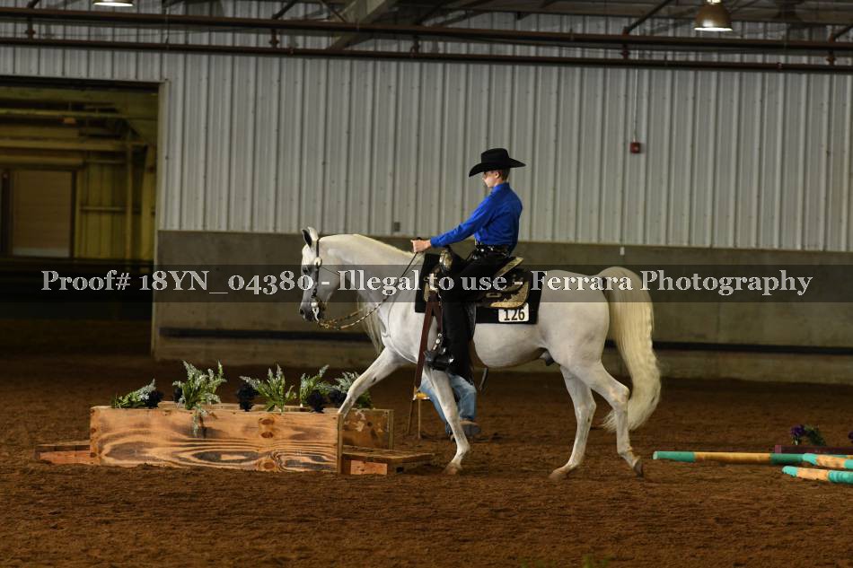 Proof 18YN_04380