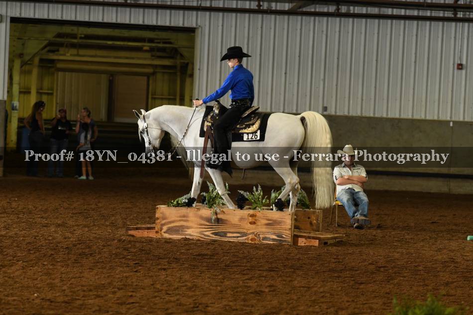 Proof 18YN_04381