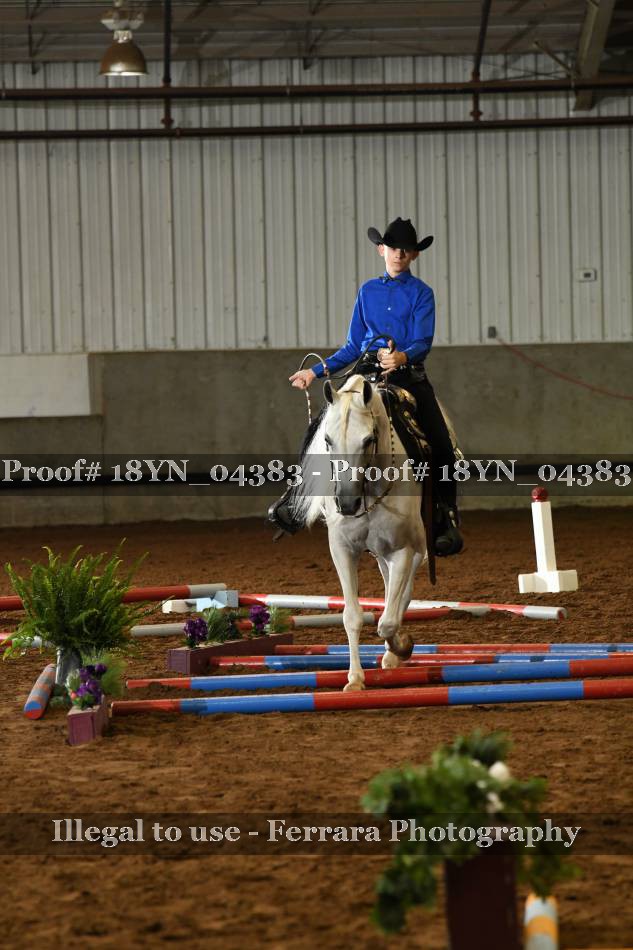 Proof 18YN_04383