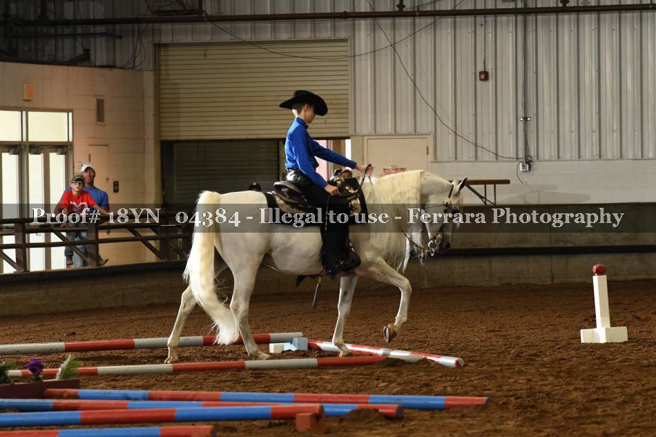 Proof 18YN_04384