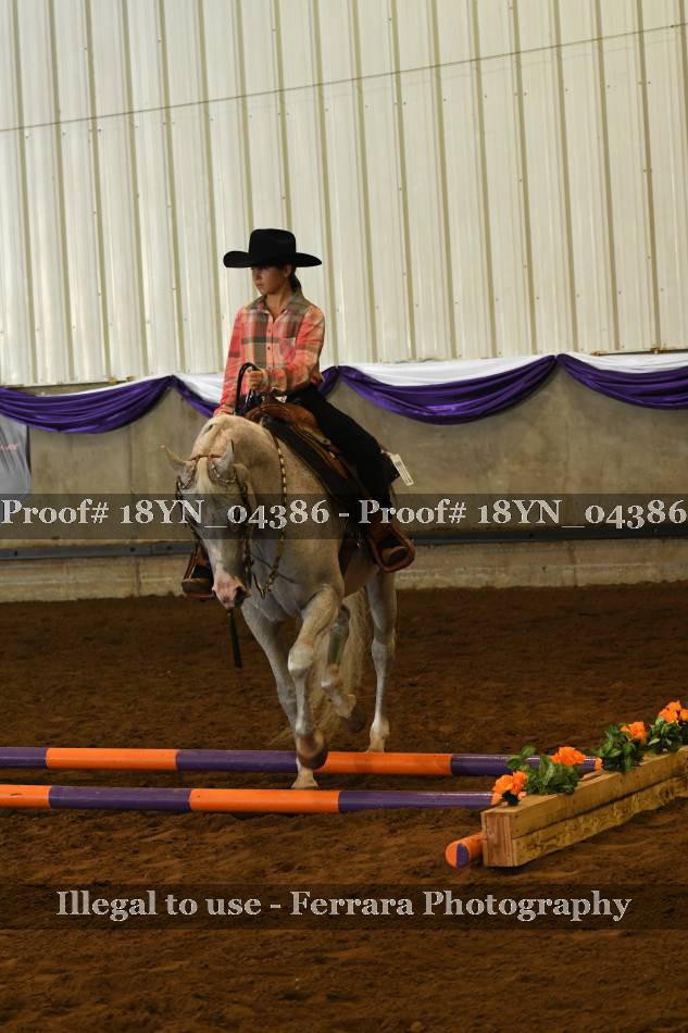 Proof 18YN_04386