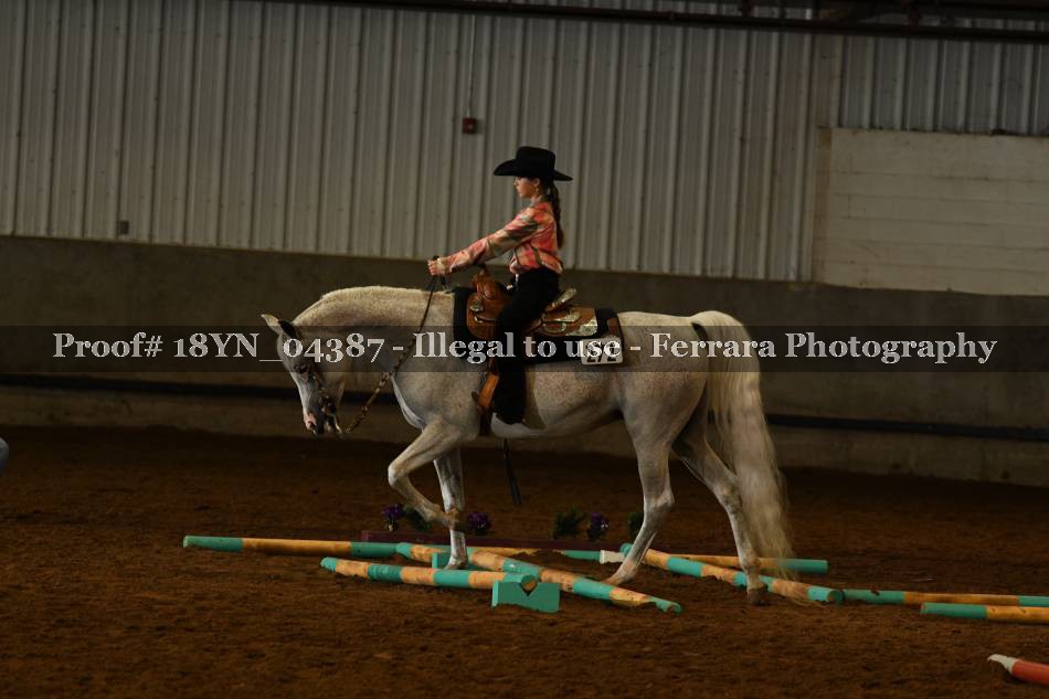 Proof 18YN_04387