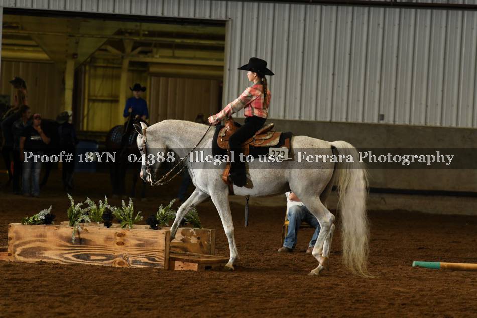 Proof 18YN_04388