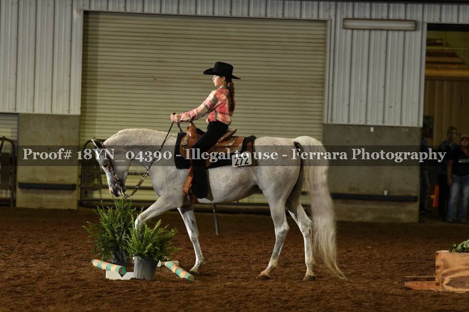 Proof 18YN_04390