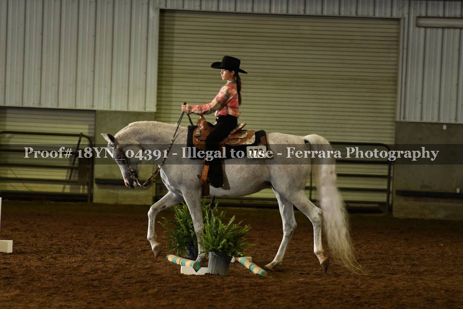 Proof 18YN_04391