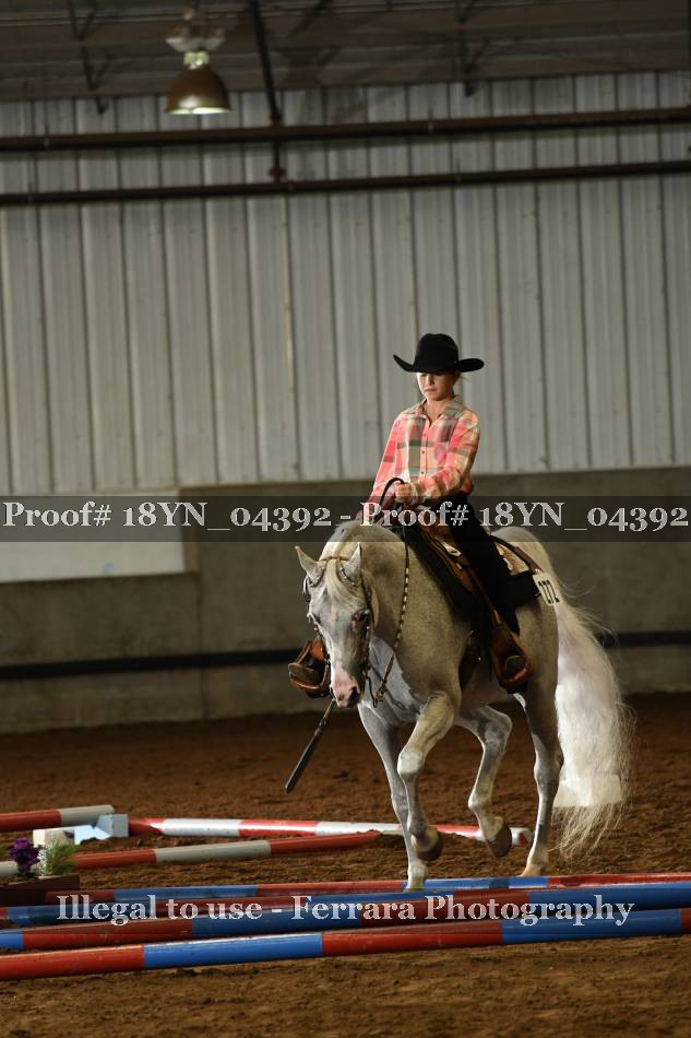 Proof 18YN_04392