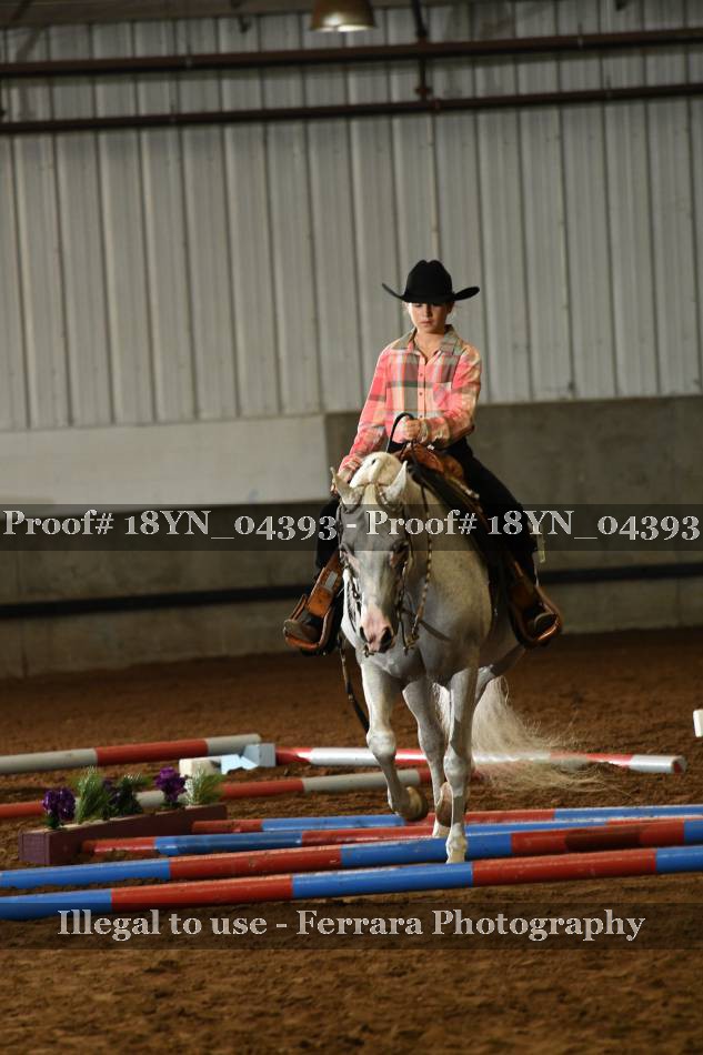 Proof 18YN_04393