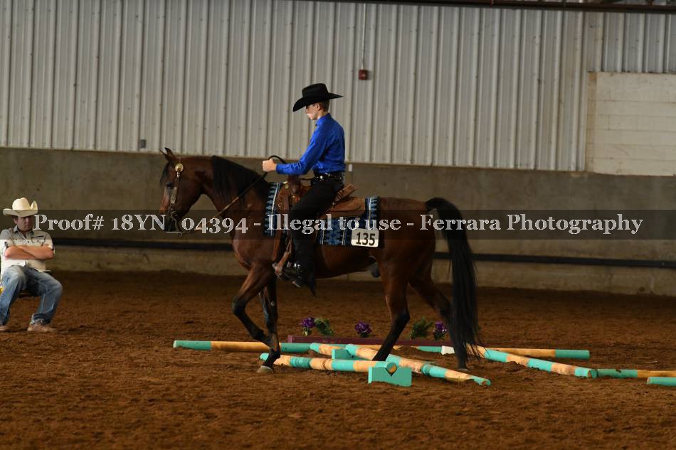 Proof 18YN_04394