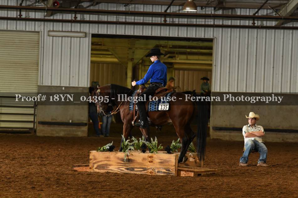 Proof 18YN_04395