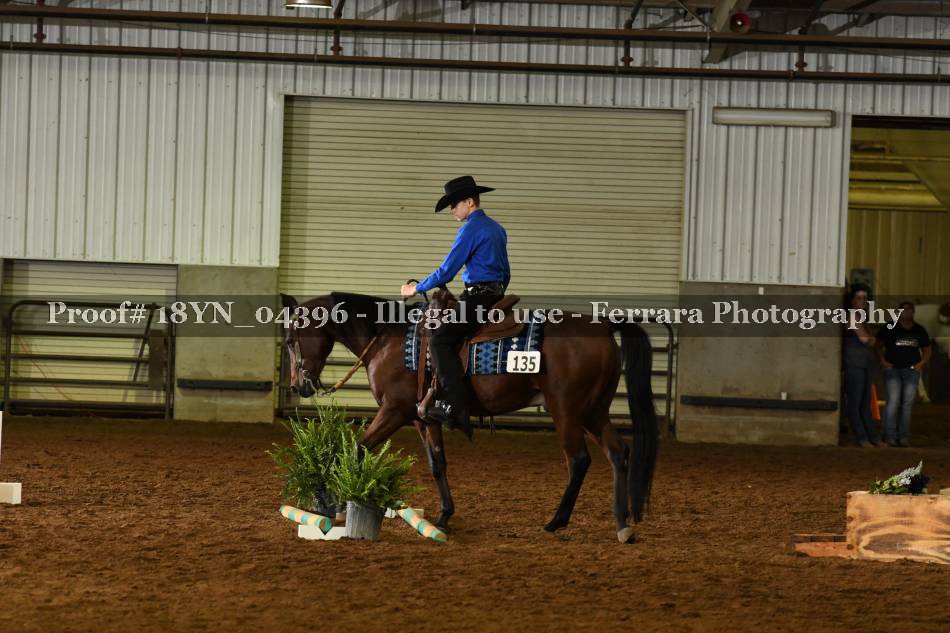 Proof 18YN_04396