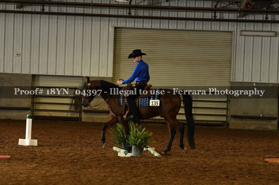 Proof 18YN_04397